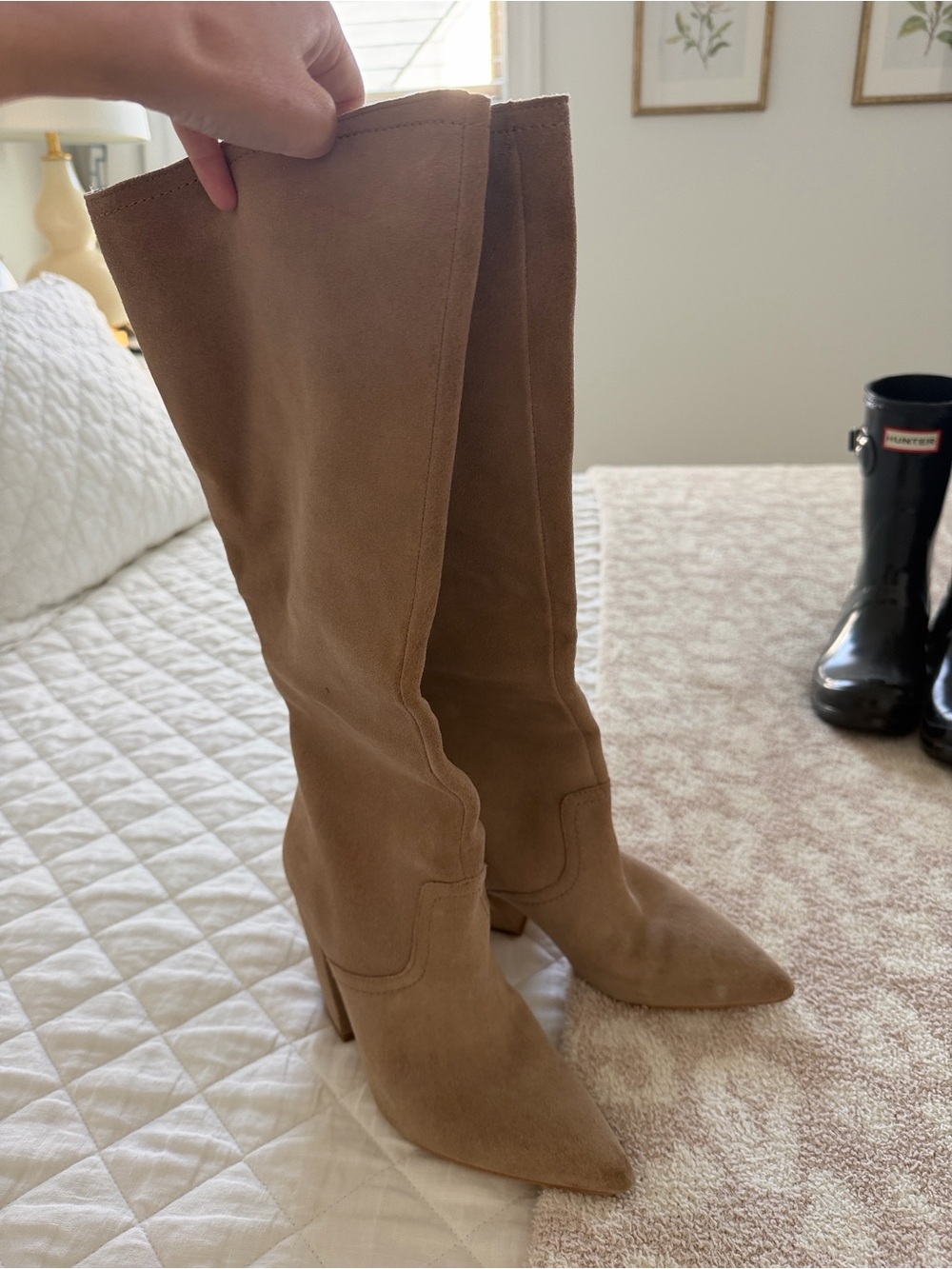 Dolce Vita Suede Pointed Toe Boot in Mushroom